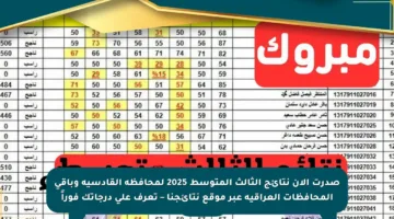 صدرت الآن نتائج الثالث المتوسط 2025 لمحافظة القادسية وباقي المحافظات العراقية عبر موقع نتائجنا – تعرف على درجاتك فوراً